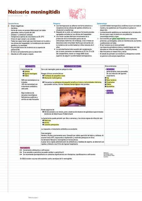 Neisseria Meningitidis