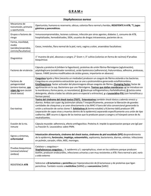 Cuadro Bacterias 1