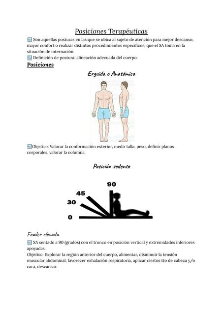 Posiciones terapéuticas