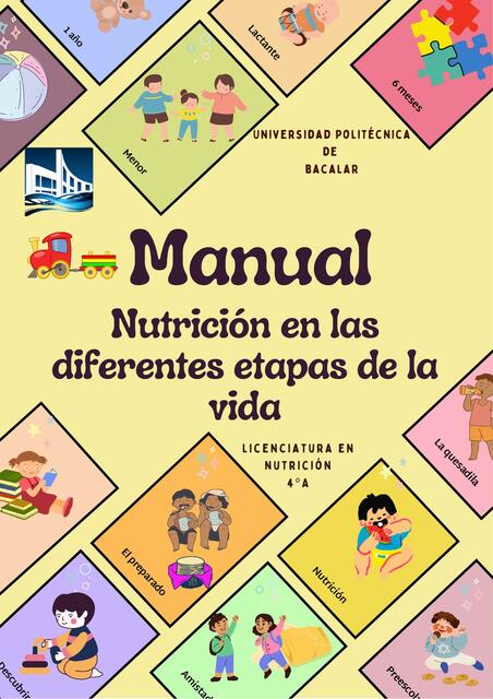 Manual En Nutrición En Las Diferentes Etapas De La Vida Indira Gandhy Cardenas Santiago Udocz 3846