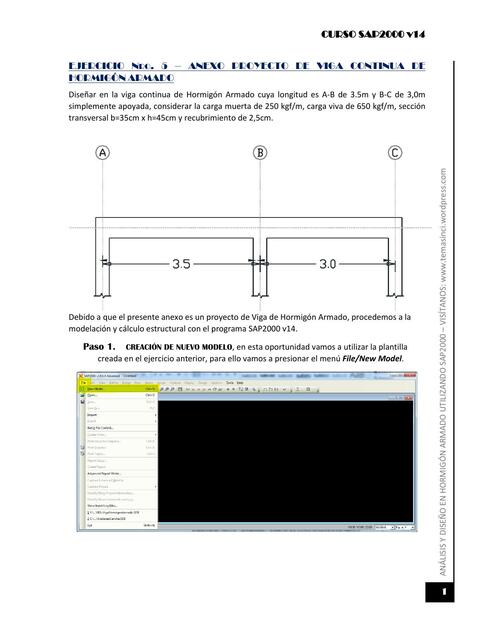 Ejercicio nro. 5 - anexo proyecto de viga continua de hormigón armado