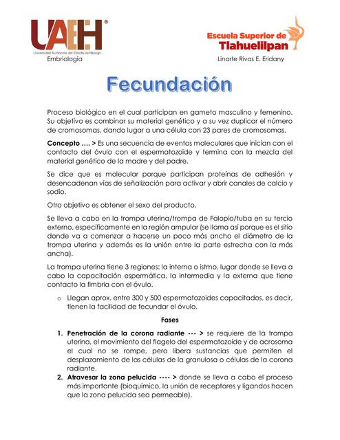 Fecundación