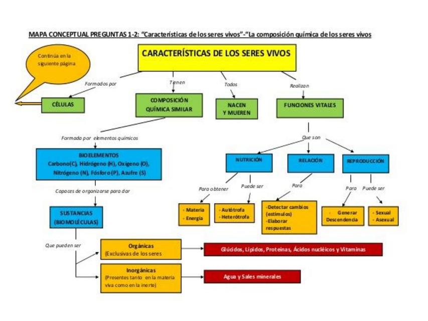 Mapa conceptual de las características de los seres vivos 4 | uDocz