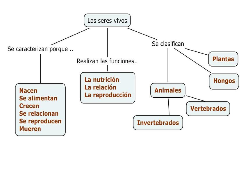 Mapa conceptual de las características de los seres vivos 5 | uDocz