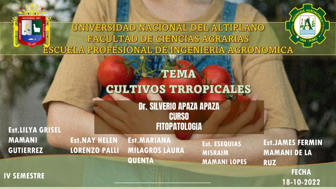 Cultivos tropicales 