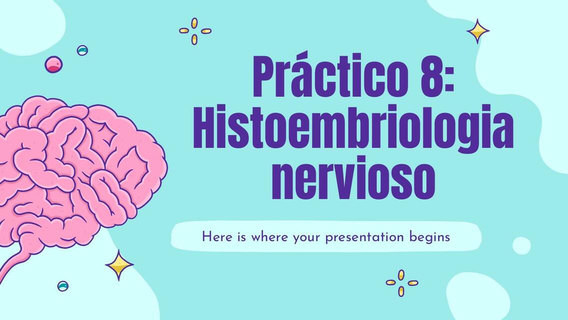 Histoembriologia Nervioso