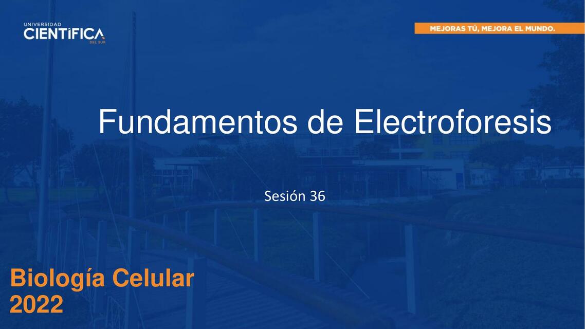 Fundamentos de Electroforesis