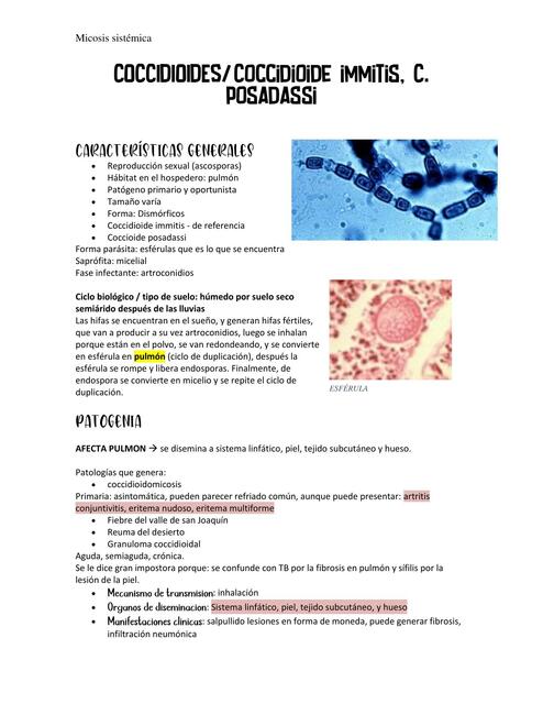 Coccidioidomicosis´/ Coccidioides Immitis, C. Posadasi