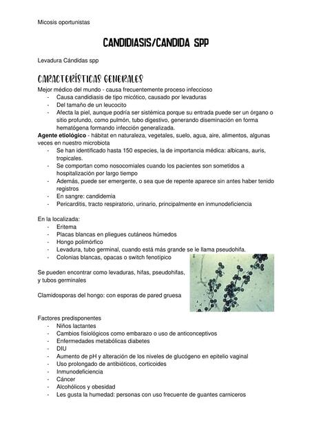 Candidiasis causada por Candida spp