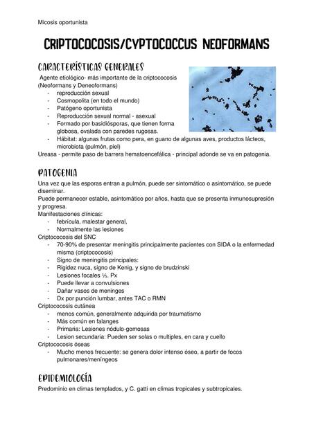 Criptococosis causada por Cryptococcus Neoformans 