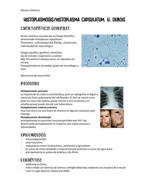 Histoplasmosis causada por histoplasma capsulatum H dubois