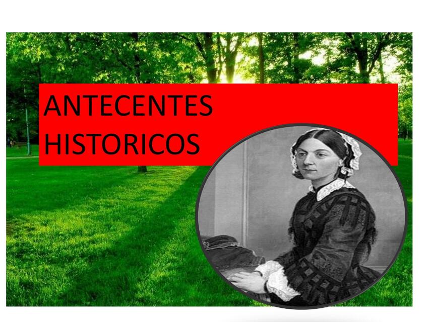 Antecedentes Históricos 