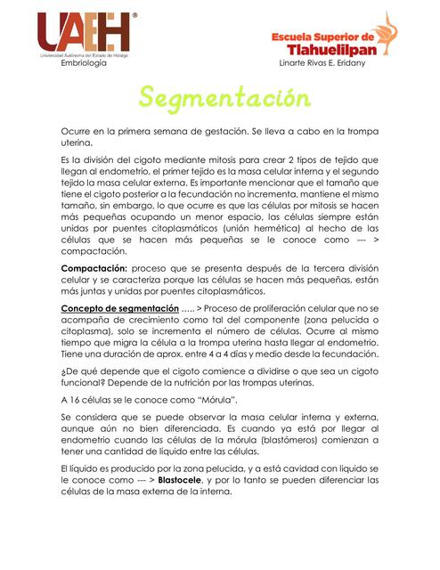 Segmentación