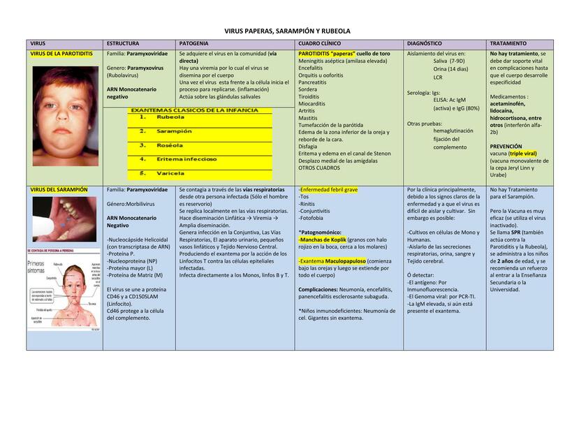 Virus Paperas, Sarampión y Rubeola 