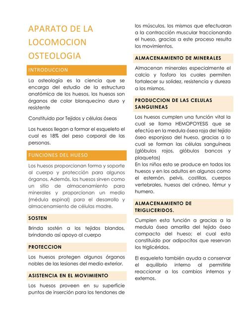 Aparato de la Locomoción-Osteología