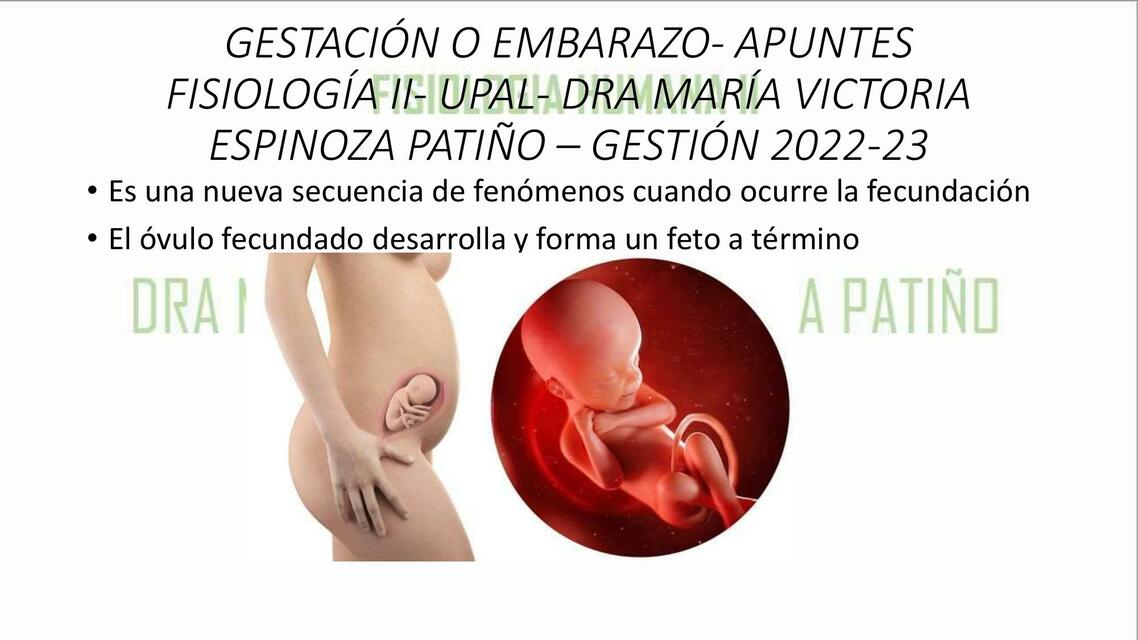 Gestación o Embarazo