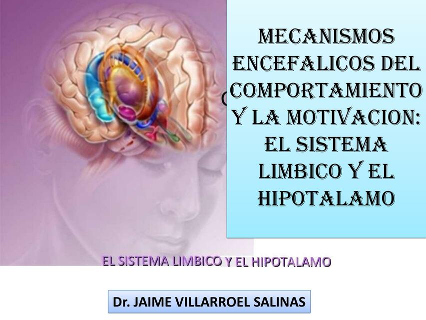 Mecanismos encefálicos del comportamiento y la motivación: el sistema límbico y el hipotálamo