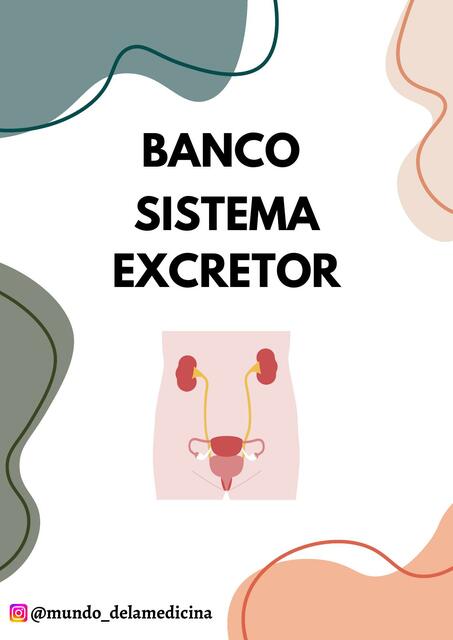 Banco de sistema excretor