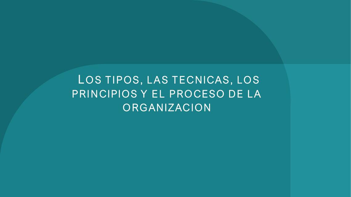 Los Tipos, las Técnicas, los Principios y el Proceso de la Organización 