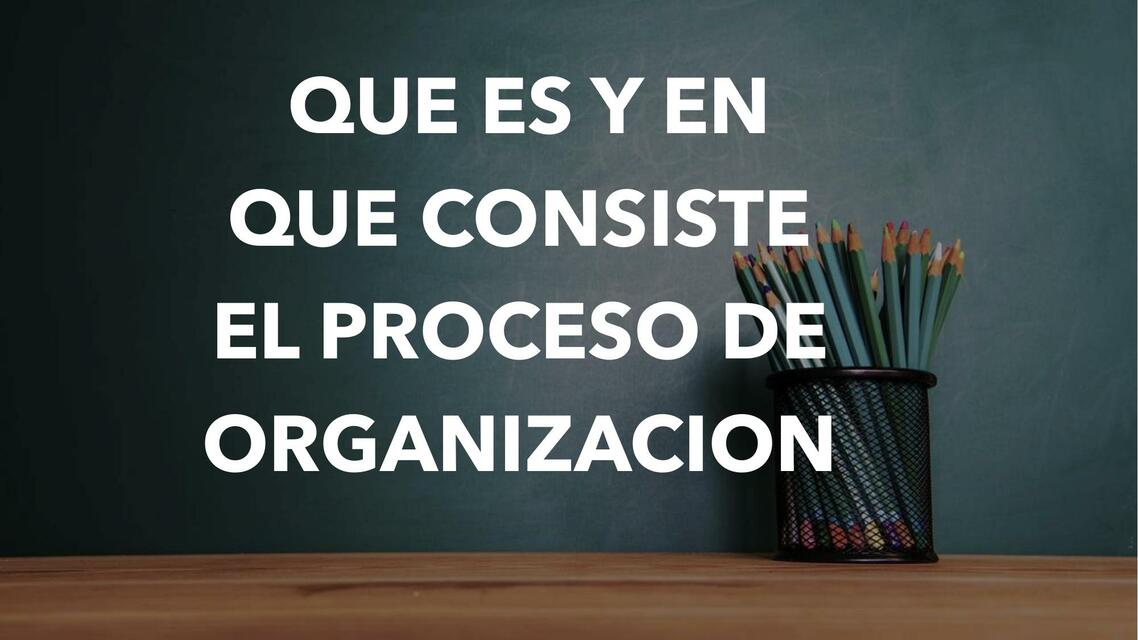 Qué es y en qué Consiste el Proceso de Organización 