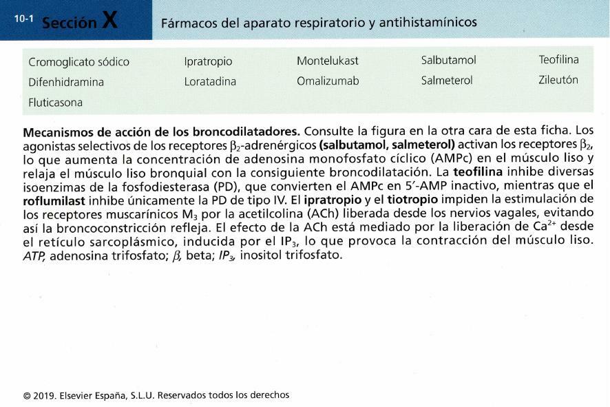 Farmacología Básica - Flashcards Capítulo 10