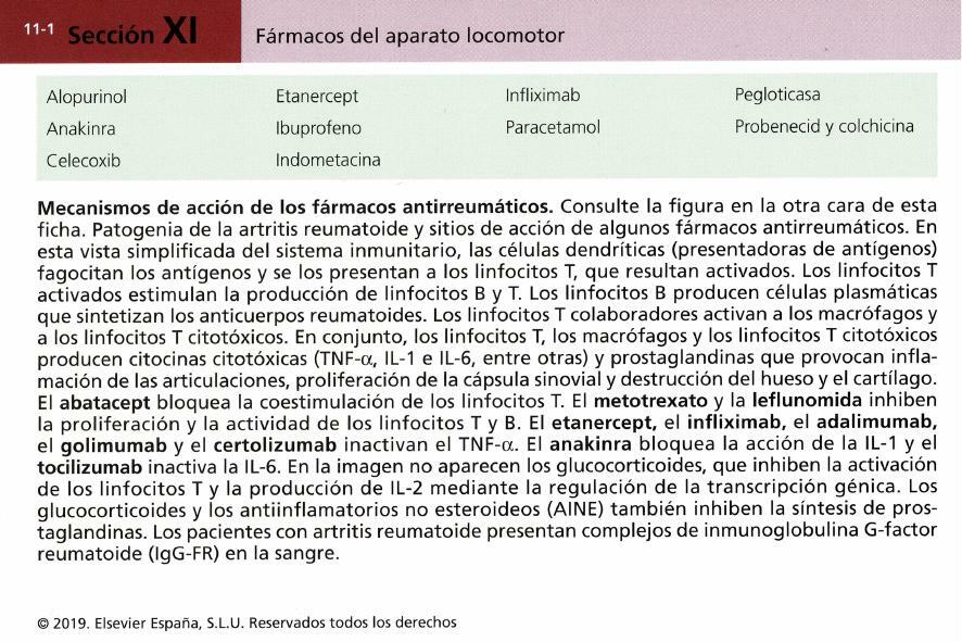 Farmacología Básica - Flashcards Capítulo 11