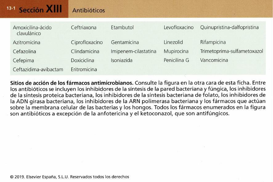 Farmacología básica - Flashcards Antibióticos 