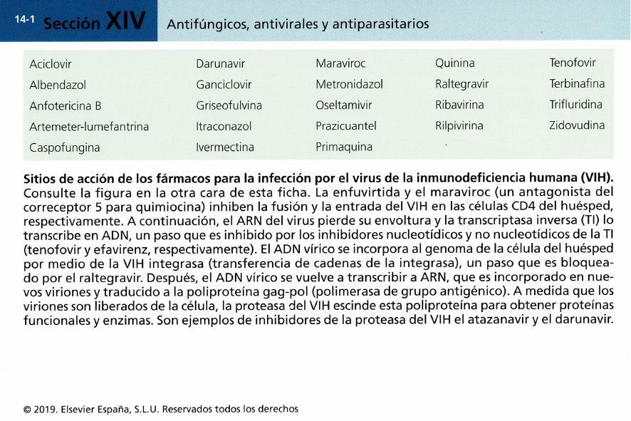 Farmacología básica - Flashcards capitulo 14