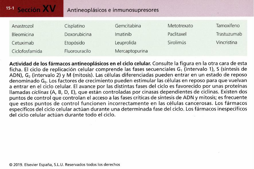 Farmacología básica - Flashcards capitulo 15