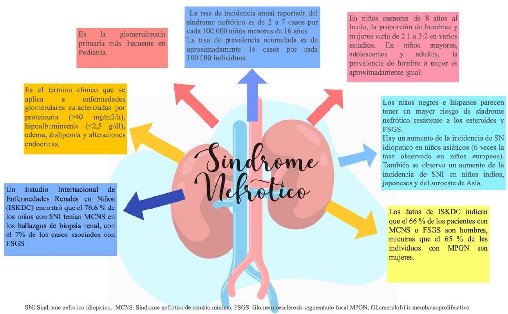 Sindrome Nefrotico