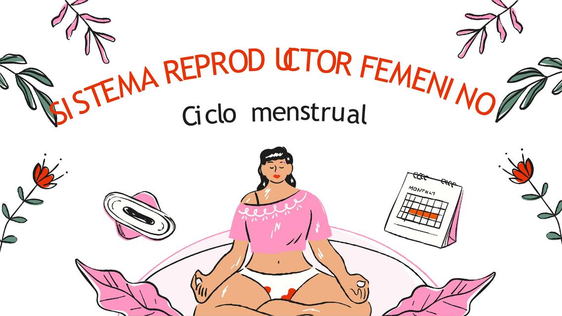 Aparato reproductor femenino