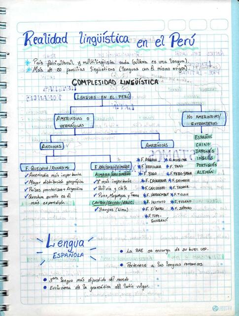 Realidad lingüística en el Perú