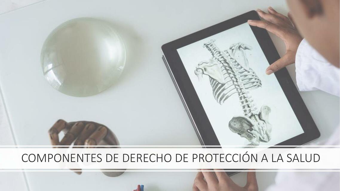 Componentes de derecho de protección a la salud