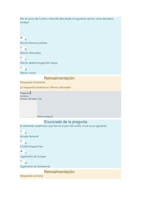 Examen abdomen