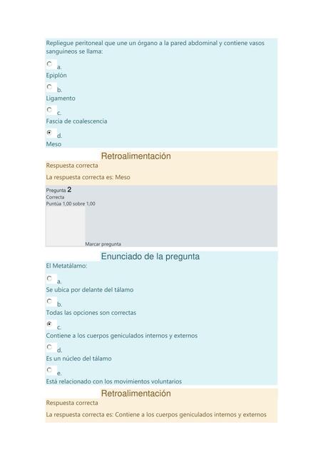 Abdomen Examen