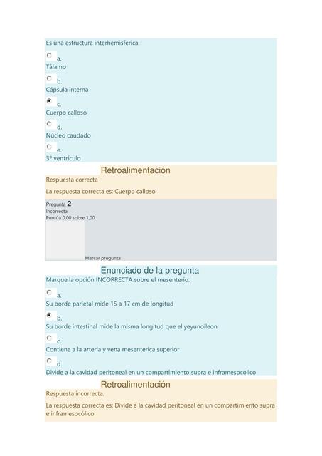 Abdomen Examen