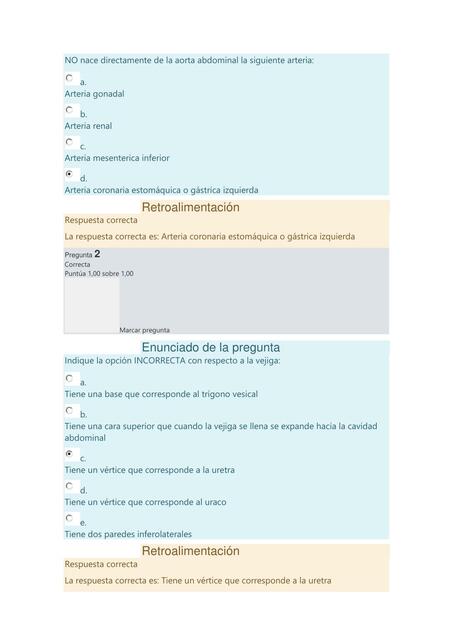 Anatomia cuarta parcial