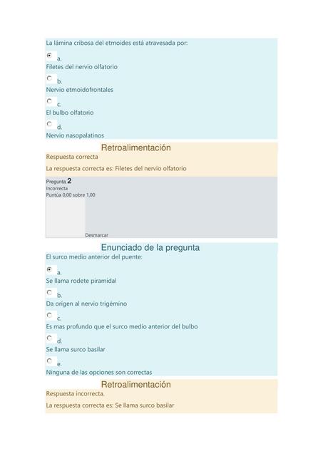 Cráneo Examen