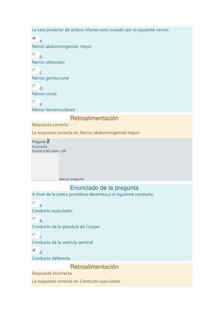 Genital Examen