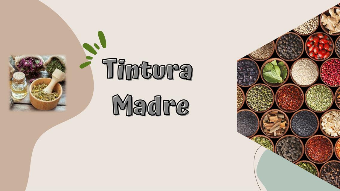 Tintura Madre 