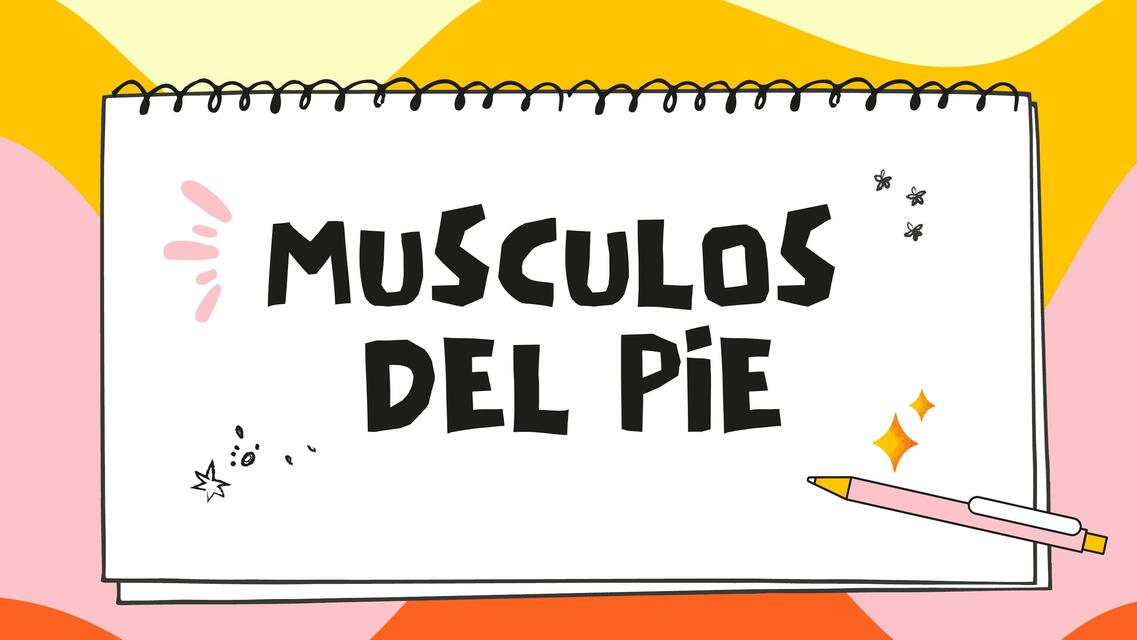 Músculos del pie