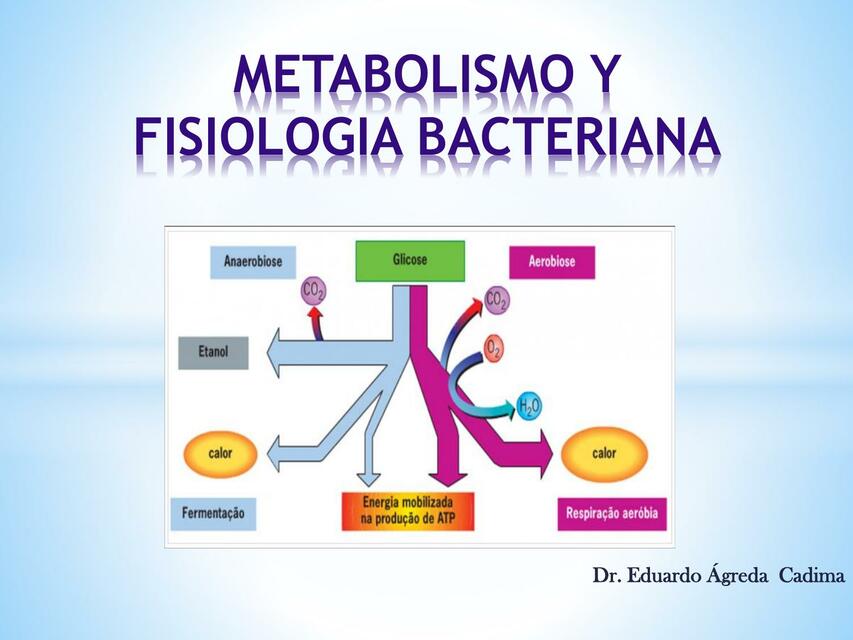 Metabolismo Bacteriano 