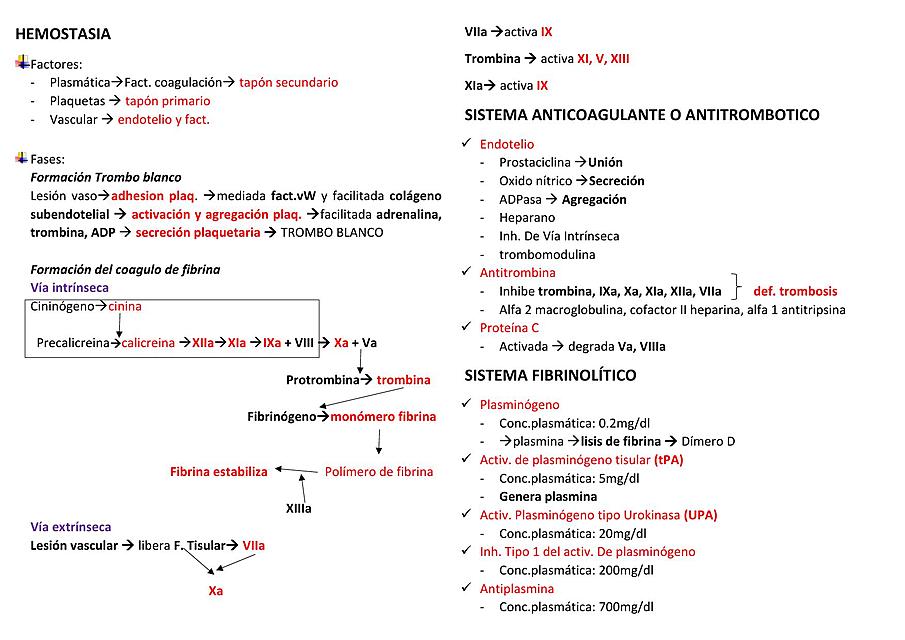 HEMOSTASIA - PATOLOGÍA CLÍNICA