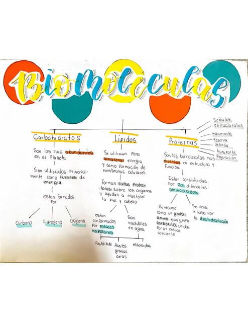 Química, las biomoléculas