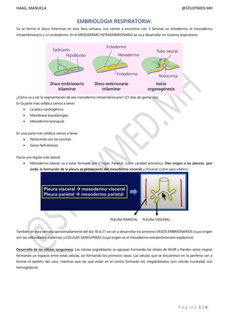 Embriología respiratoria