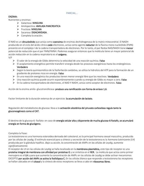 Parcial de histología 