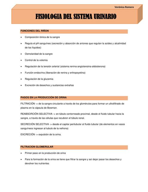 Fisiologia del sistema urinario