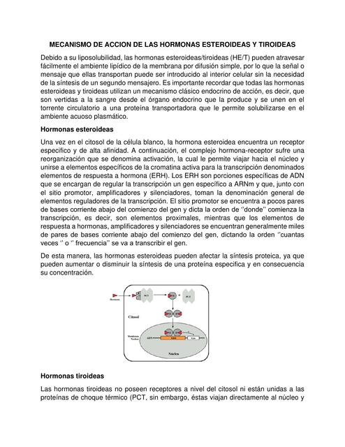 Mecanismo de acción de las hormonas esteroideas y tiroideas