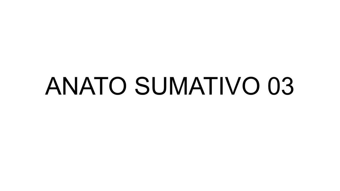 Anato sumativo 3