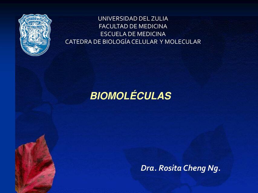 Biomoléculas